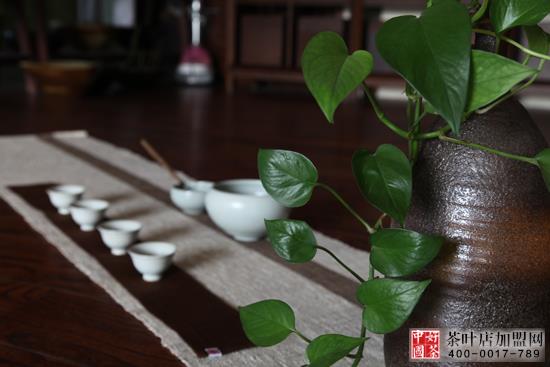 茶饰摆件--茶楼茶社的花草摆放方法--茶艺花草植物完美的结合2