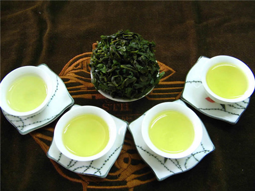 2016年最受欢迎的名茶－正宗铁观音－铁观音茶山茶园