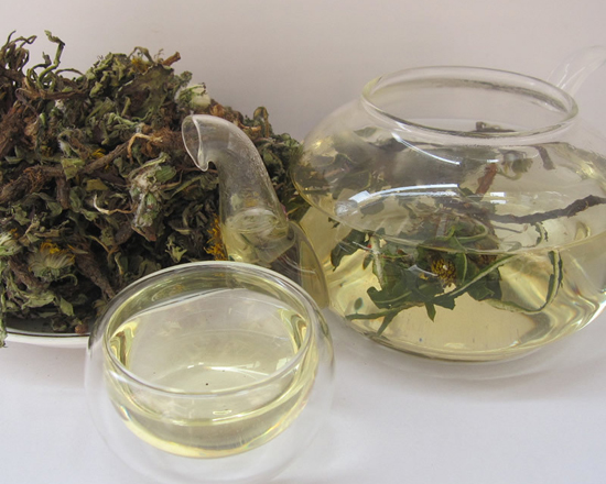 蒲公英茶－蒲公英茶的作用与功效－春天喝蒲公英茶的好处