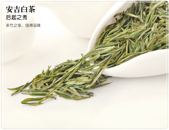 安吉白茶特点详细介绍－安吉白茶制作工艺