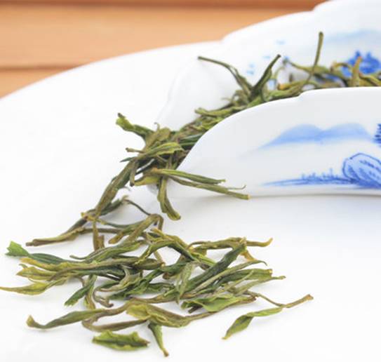 安吉白茶的制作工艺
