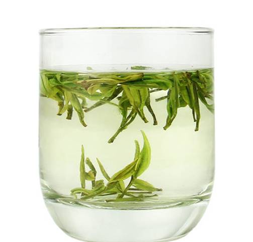 安吉白茶的正确泡法