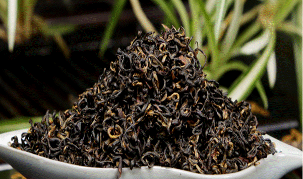 祁门红茶的详细制作工艺