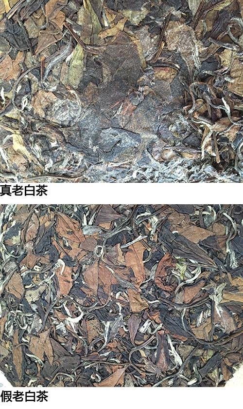 如何鉴别老白茶的真假_老白茶的选购方法