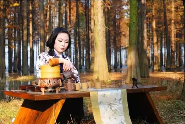 为什么古树茶那么贵？_古树茶的价值