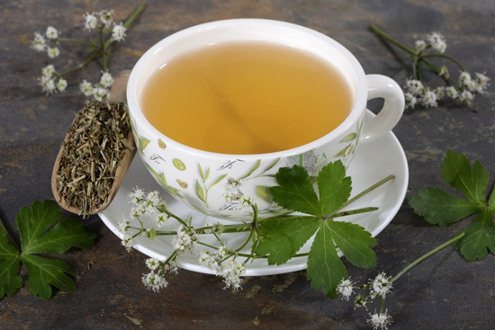 如何饮茶会有效显得年轻呢