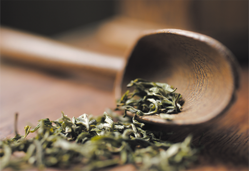 什么是茶多酚_茶多酚的功效与作用