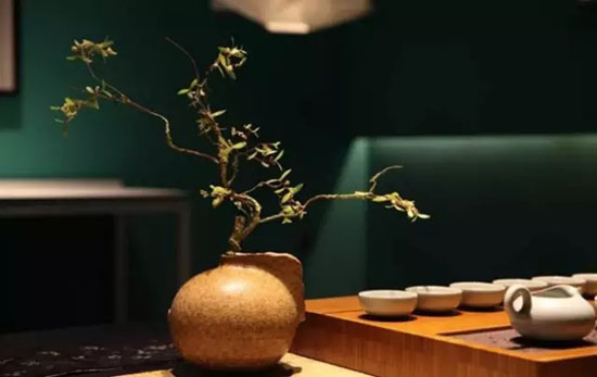 茶干泡法使用的茶具_茶湿泡法使用的茶具
