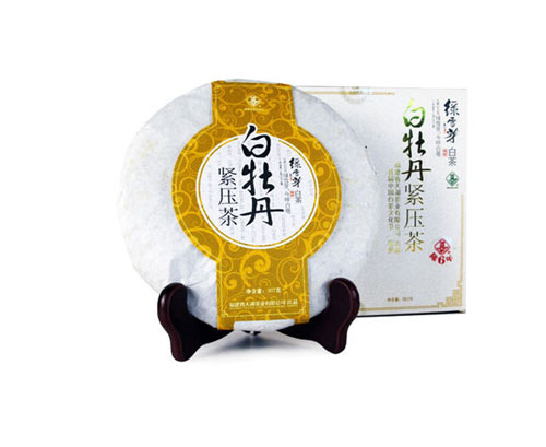 绿雪芽_白茶的历史_高端白茶品牌-白茶大全