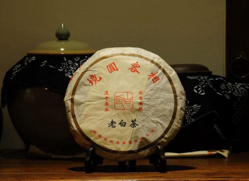 绿雪芽_白茶的历史_高端白茶品牌-白茶大全