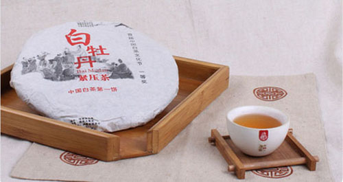 绿雪芽_白茶的历史_高端白茶品牌-白茶大全