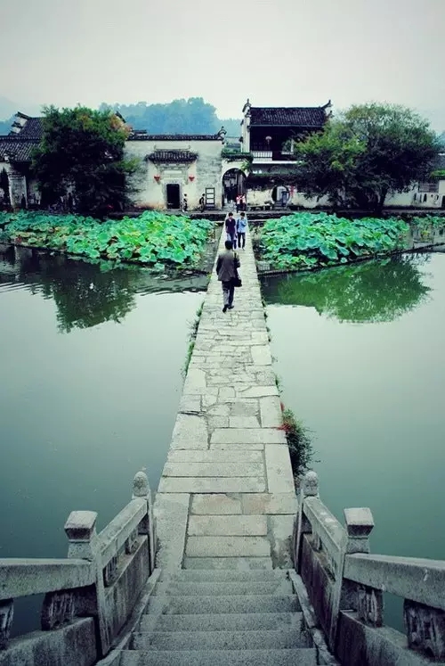 中国茶文化--茶艺茶道