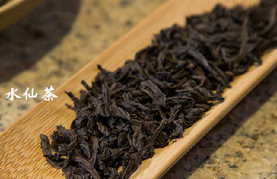 水仙茶_老枞水仙属于什么茶