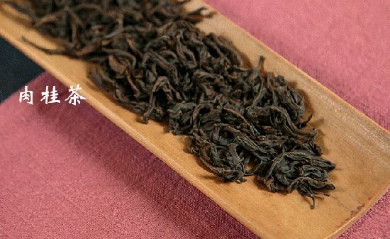 肉桂茶价格_肉桂茶叶多少钱一斤