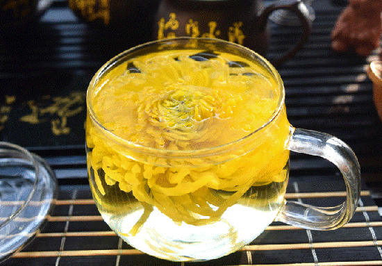 金丝皇菊的功效与作用_饮用金丝皇菊的禁忌