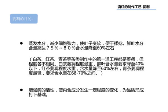 滇红茶的制作工艺--萎凋过程