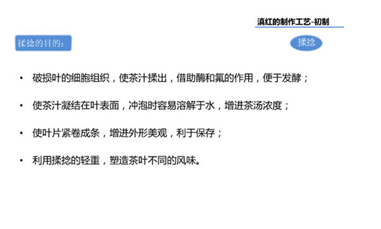 滇红茶的制作工艺--揉捻方法
