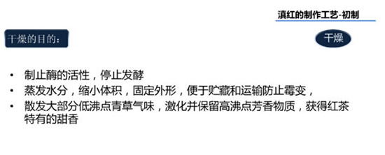 滇红茶的制作工艺--干燥过程
