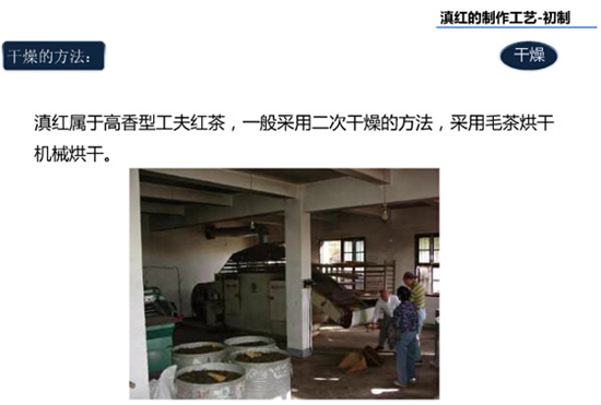 滇红茶的制作工艺--干燥方法