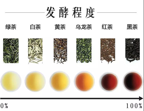 六大茶类的发酵度分析表