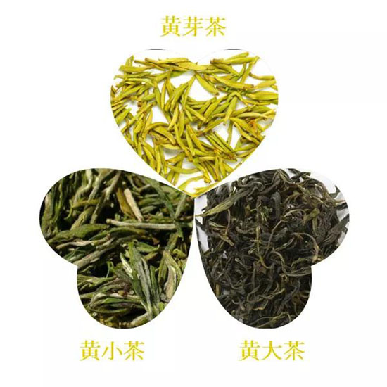 黄茶的分类大全-黄茶作用与功效