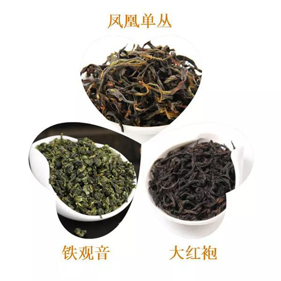 区分青茶（乌龙茶）的准确方法-青茶的分类特点