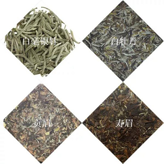 白茶种类特点-白茶的作用与功效