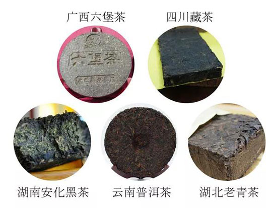 黑茶名茶-黑茶的作用与功效