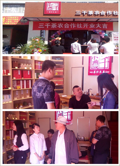 茶楼茶叶店加盟品牌